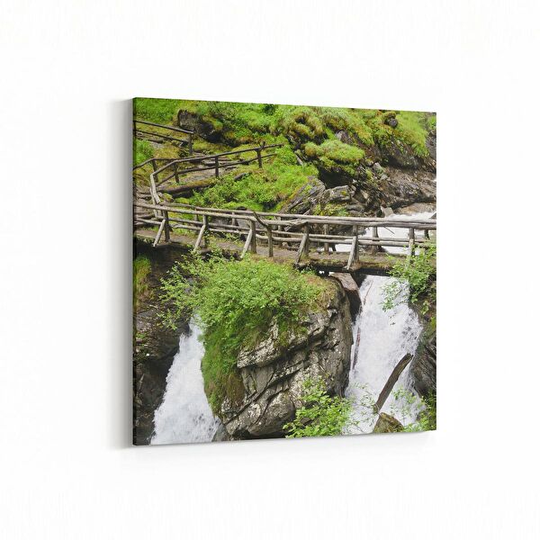 olla.market Kanvas Tablo