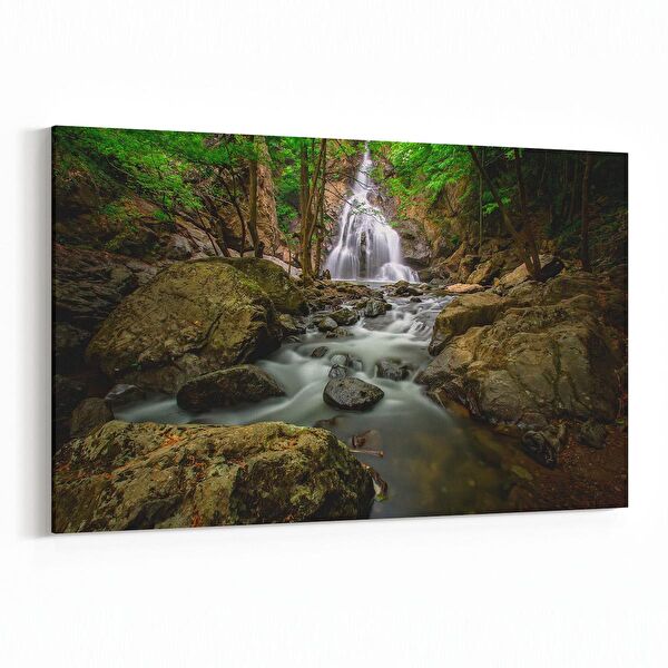 olla.market Kanvas Tablo