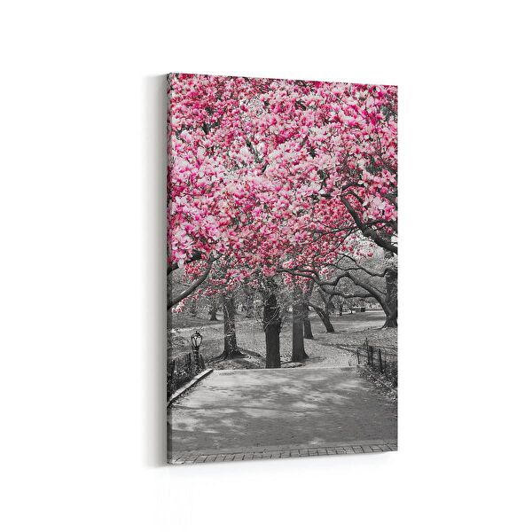 olla.market Kanvas Tablo