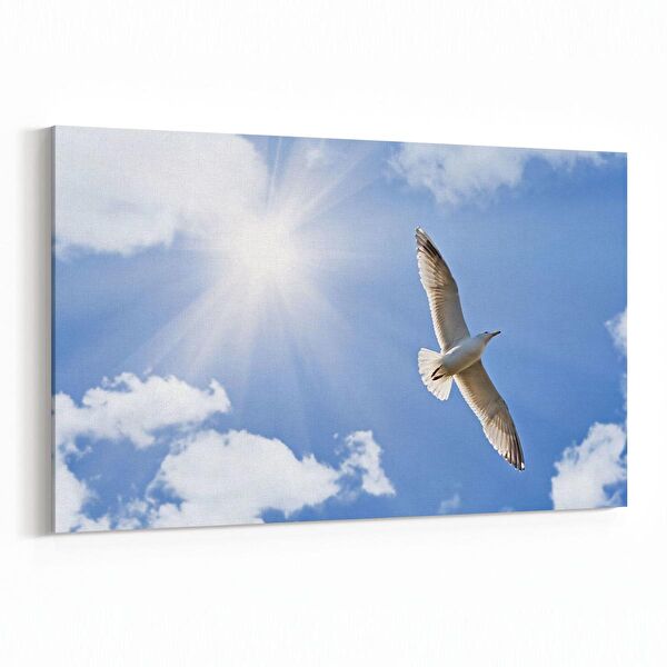 olla.market Kanvas Tablo