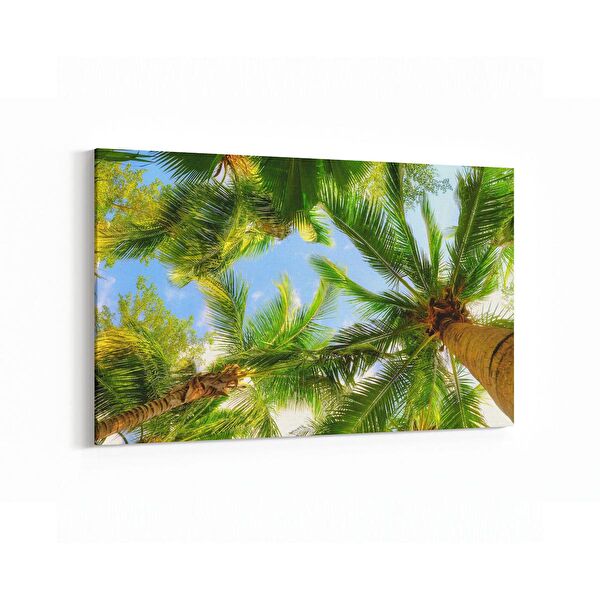 olla.market Kanvas Tablo