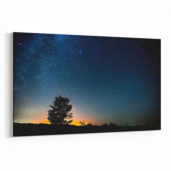 olla.market Kanvas Tablo