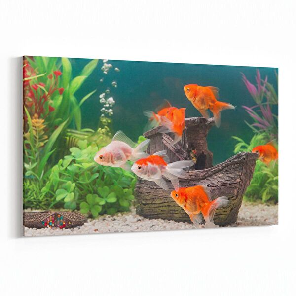 olla.market Kanvas Tablo