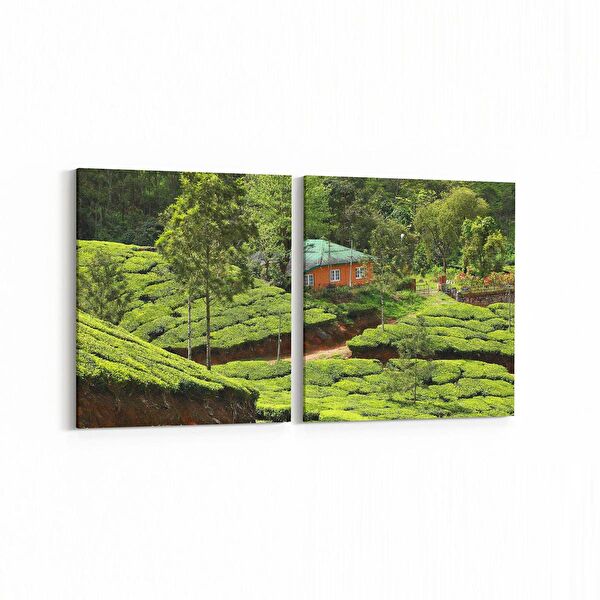 olla.market Kanvas Tablo