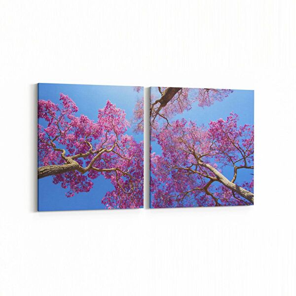 olla.market Kanvas Tablo