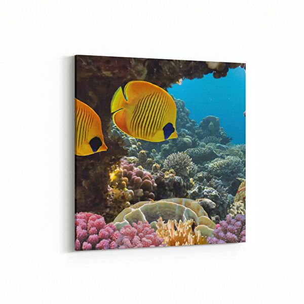 olla.market Kanvas Tablo