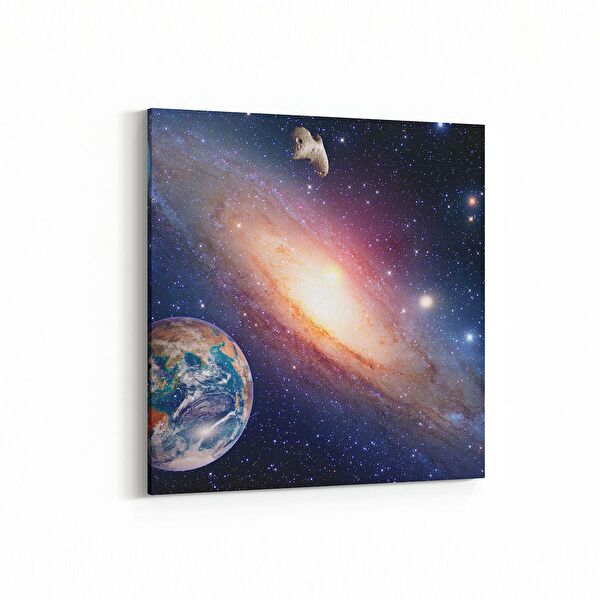 olla.market Kanvas Tablo