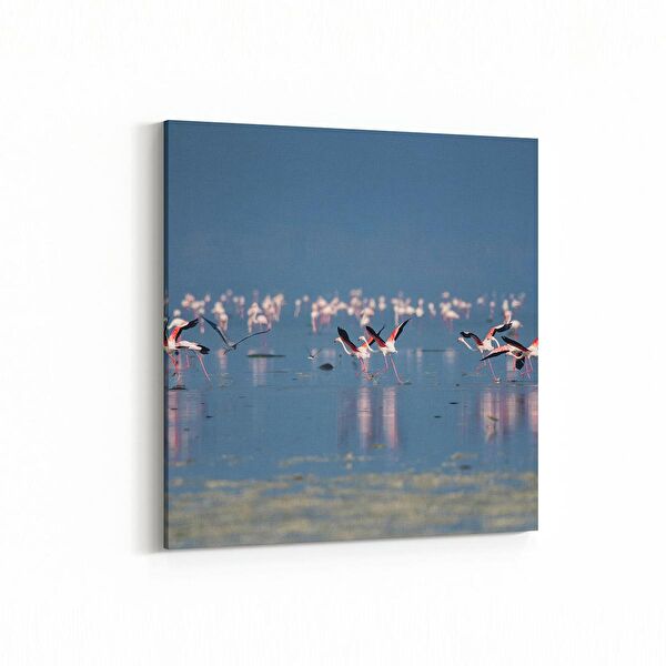 olla.market Kanvas Tablo