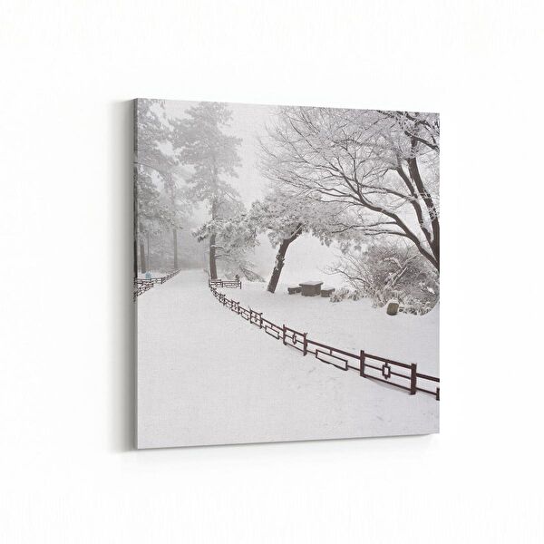 olla.market Kanvas Tablo