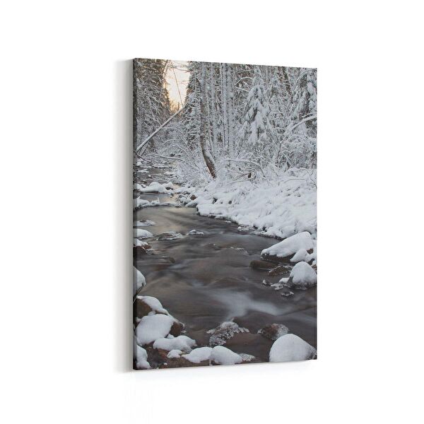 olla.market Kanvas Tablo