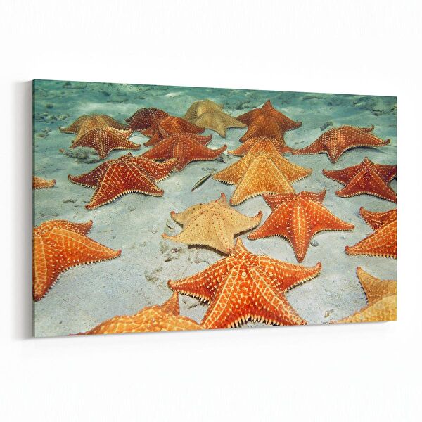 olla.market Kanvas Tablo