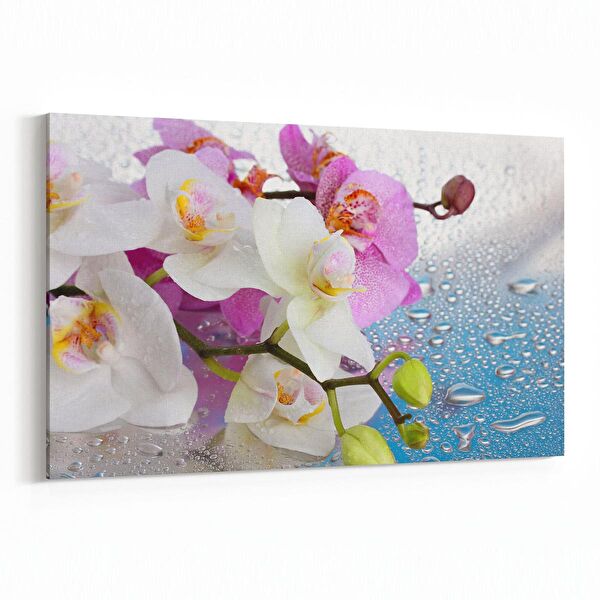 olla.market Kanvas Tablo