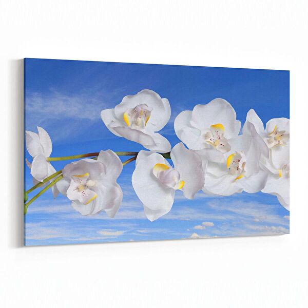 olla.market Kanvas Tablo