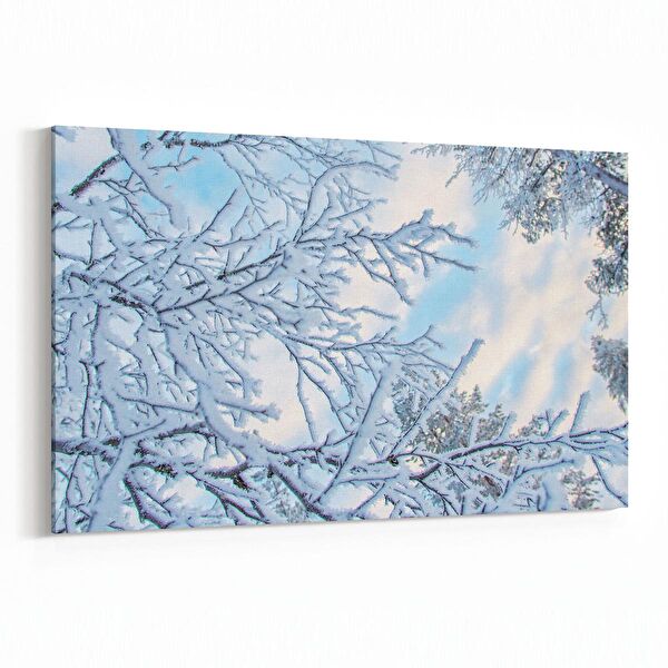 olla.market Kanvas Tablo