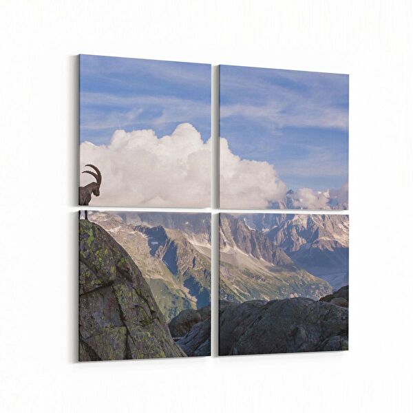 olla.market Kanvas Tablo