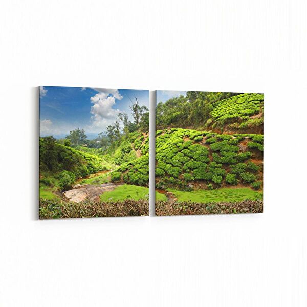 olla.market Kanvas Tablo