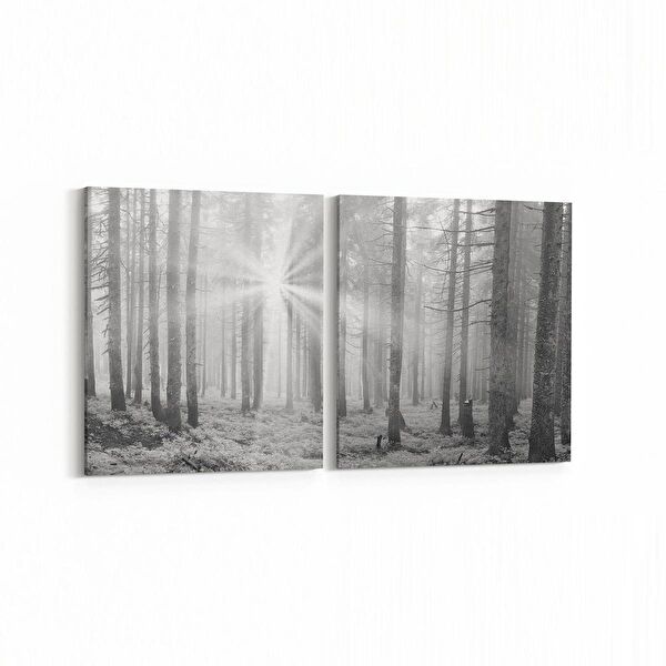 olla.market Kanvas Tablo