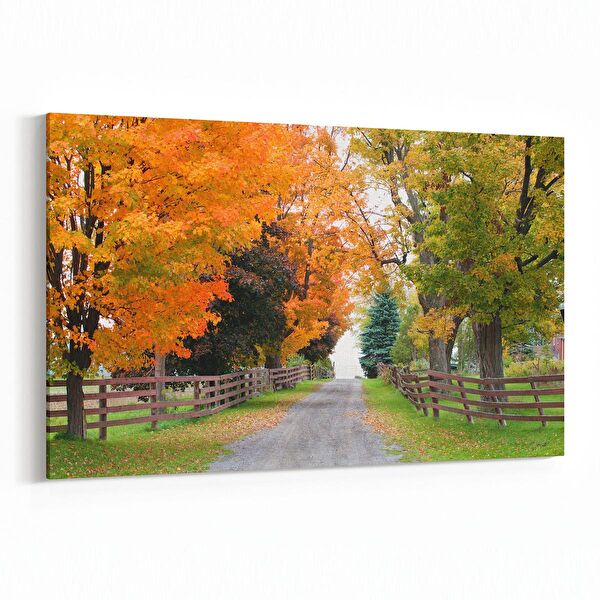 olla.market Kanvas Tablo