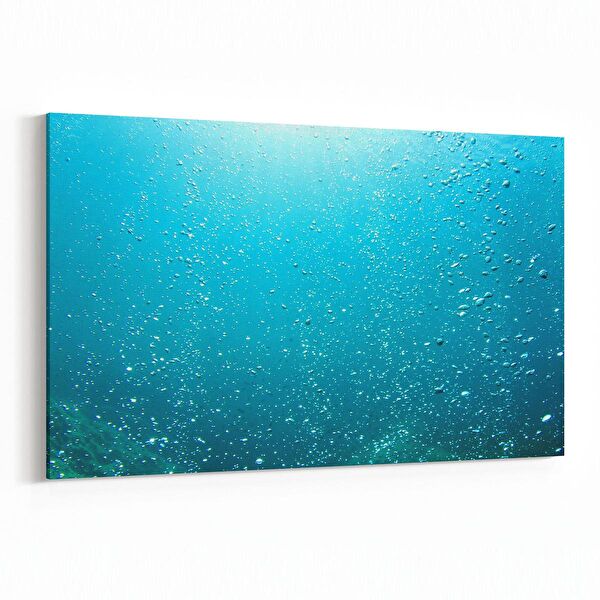 olla.market Kanvas Tablo