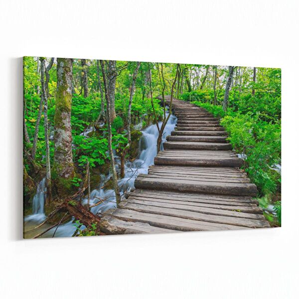 olla.market Kanvas Tablo