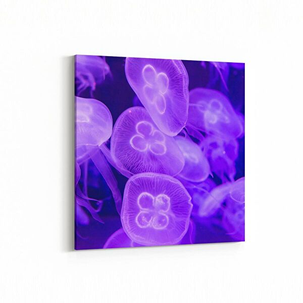 olla.market Kanvas Tablo