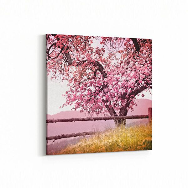 olla.market Kanvas Tablo