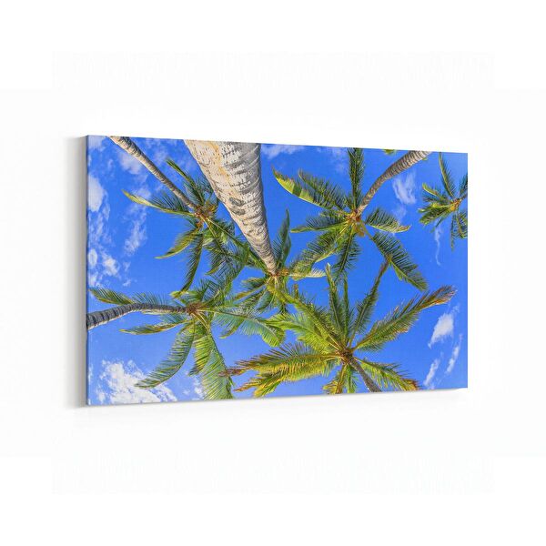 olla.market Kanvas Tablo