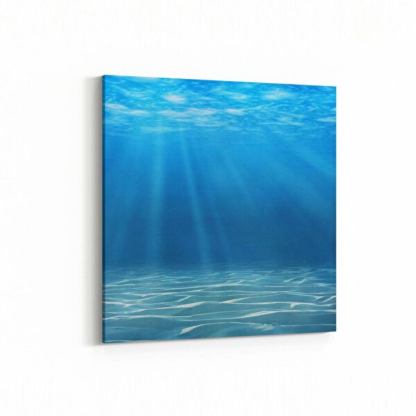 olla.market Kanvas Tablo