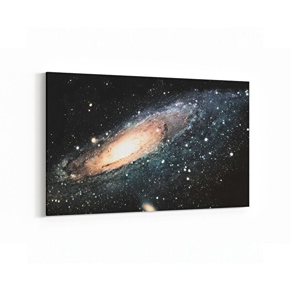 olla.market Kanvas Tablo