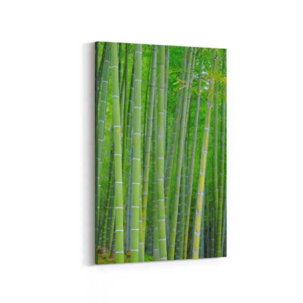 olla.market Kanvas Tablo