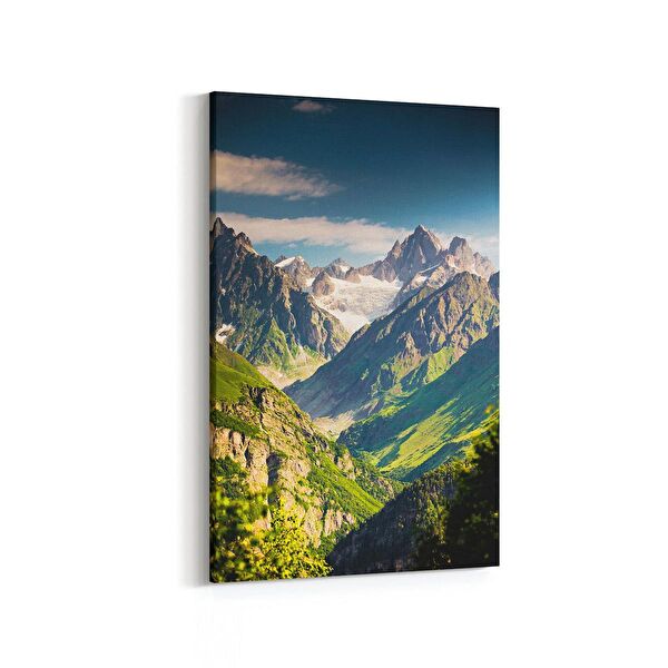 olla.market Kanvas Tablo