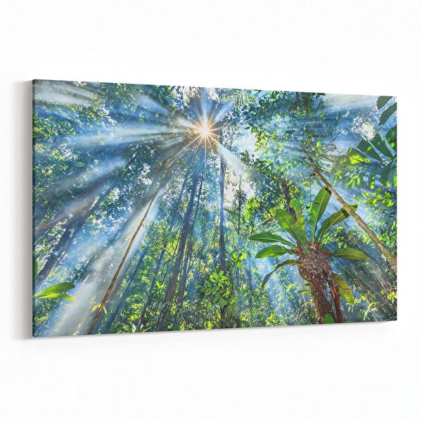 olla.market Kanvas Tablo