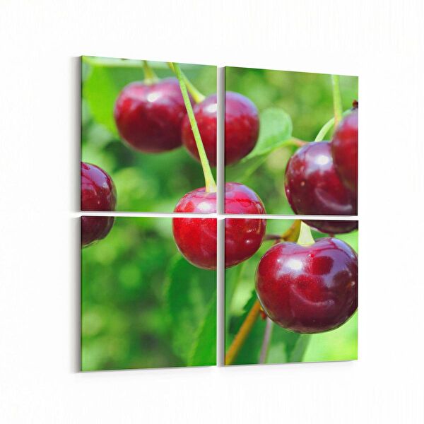 olla.market Kanvas Tablo