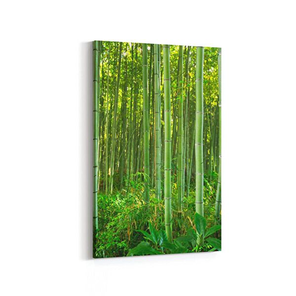 olla.market Kanvas Tablo