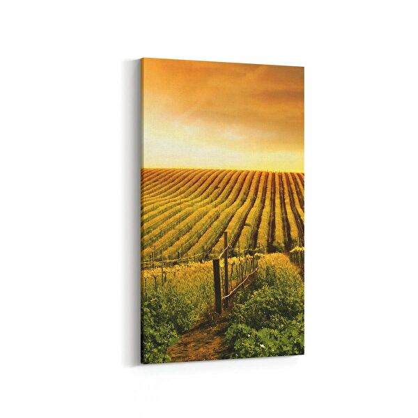 olla.market Kanvas Tablo