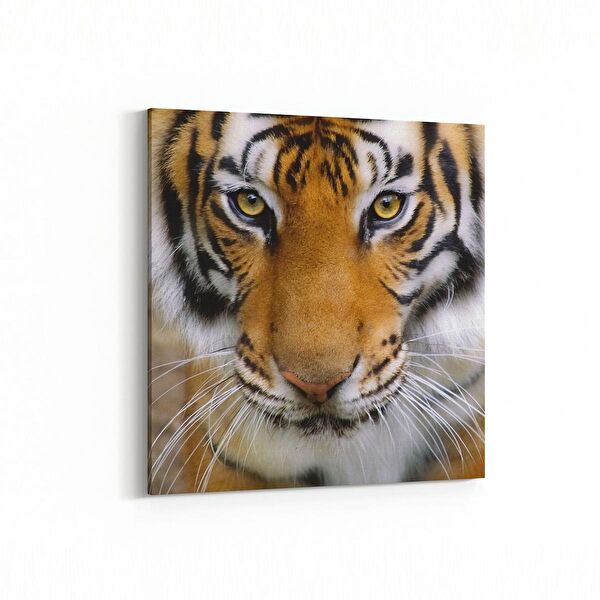 olla.market Kanvas Tablo