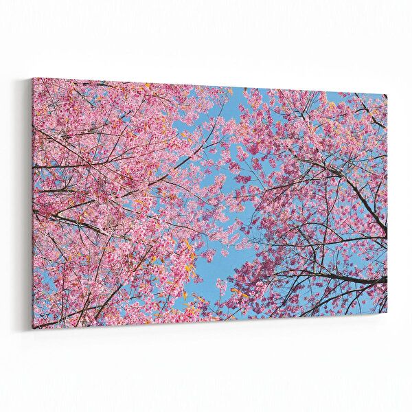 olla.market Kanvas Tablo