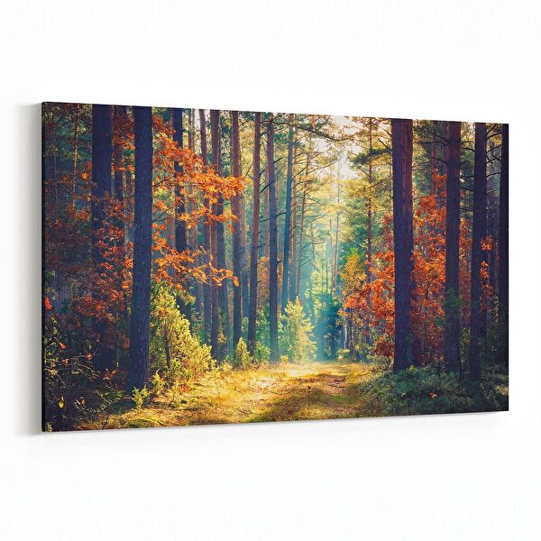 olla.market Kanvas Tablo