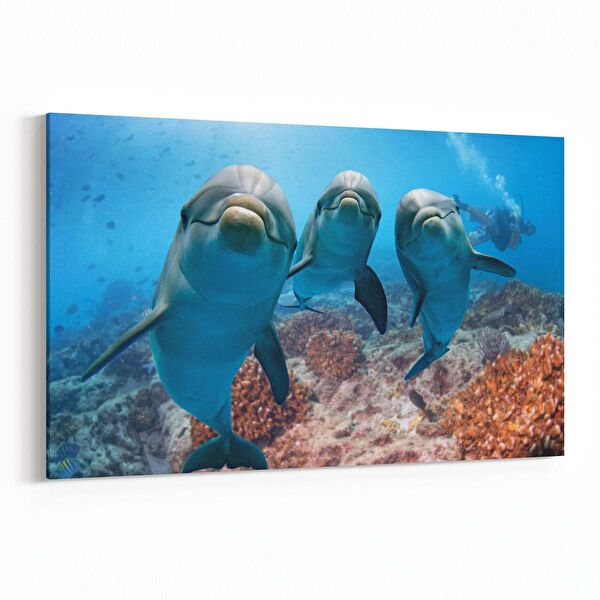 olla.market Kanvas Tablo