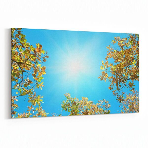 olla.market Kanvas Tablo