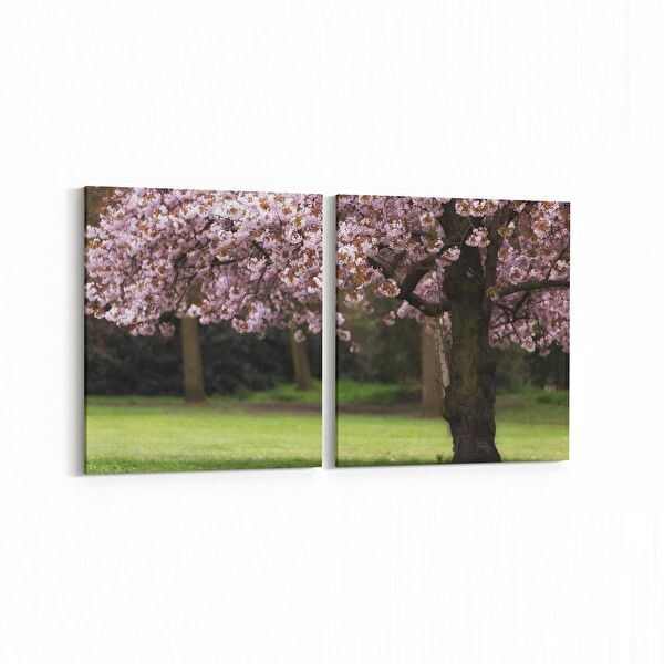 olla.market Kanvas Tablo