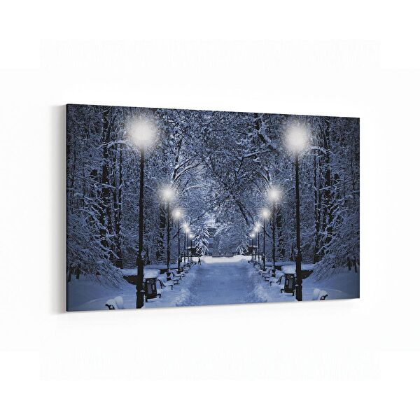 olla.market Kanvas Tablo