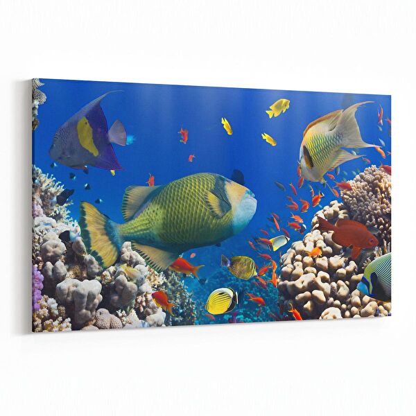 olla.market Kanvas Tablo