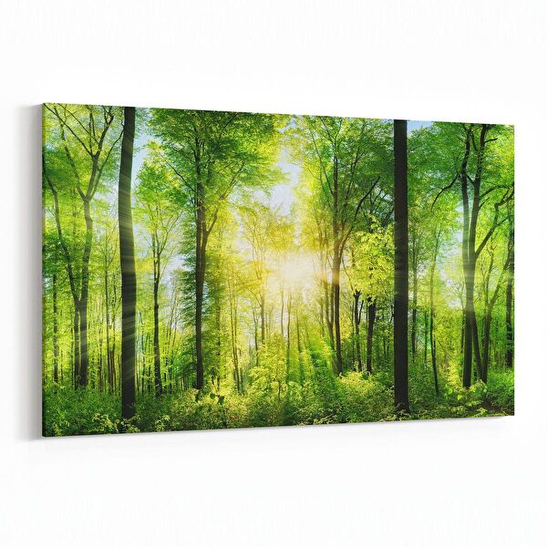 olla.market Kanvas Tablo