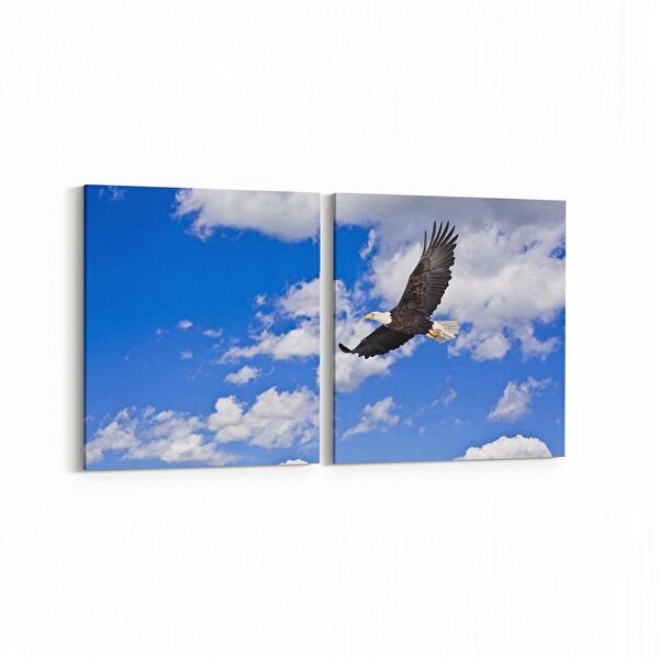 olla.market Kanvas Tablo