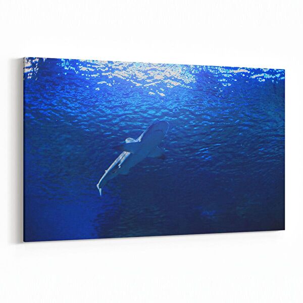 olla.market Kanvas Tablo