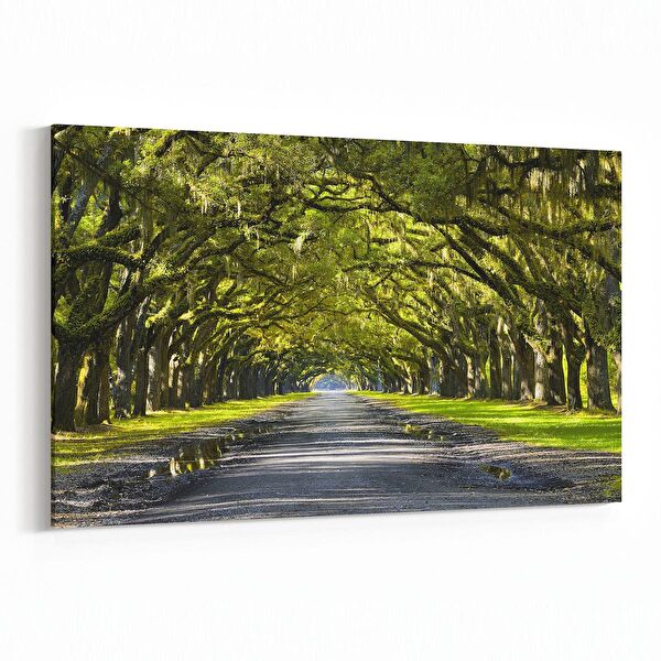 olla.market Kanvas Tablo