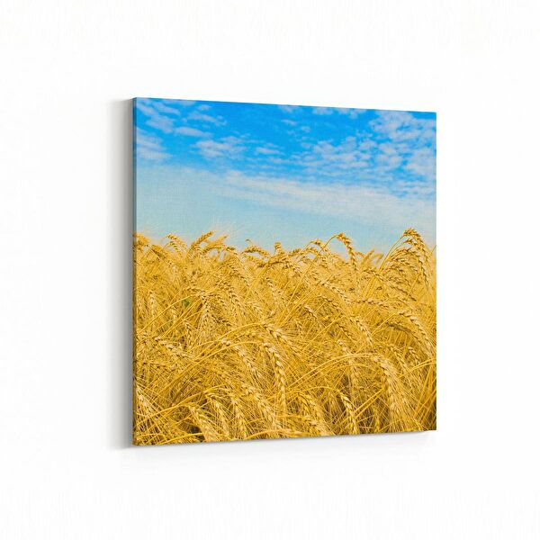 olla.market Kanvas Tablo