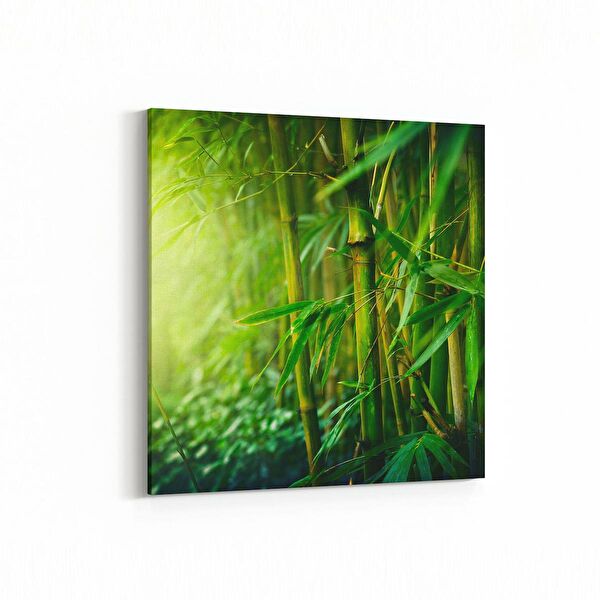 olla.market Kanvas Tablo