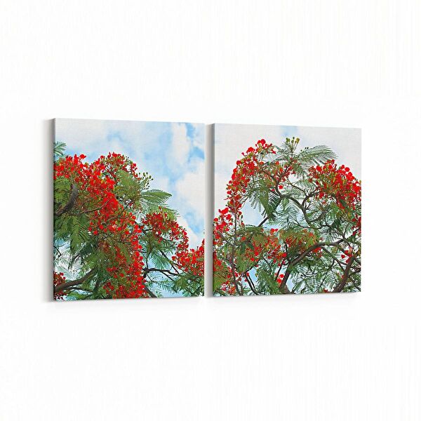 olla.market Kanvas Tablo